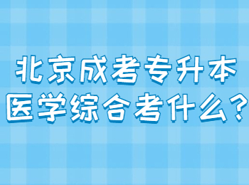 北京成考專升本 北京成考答疑
