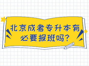 北京成考專升本有必要報班嗎