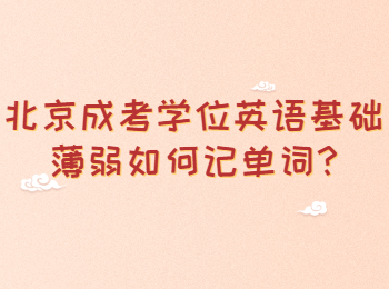 北京成考學(xué)位英語