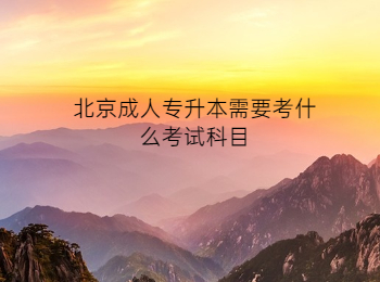 北京成人專升本考試科目
