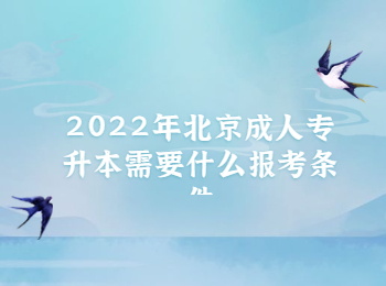 北京成人專升本報(bào)考條件