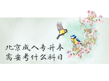 北京成人專升本科目