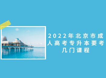 北京市成人高考專升本課程
