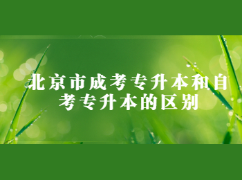 北京市成考 北京市成考專升本