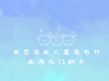 北京市成人高考專(zhuān)升本