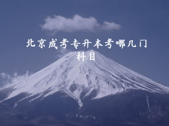 北京成考專升本 北京成考