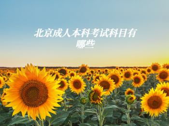 北京成人本科考試科目
