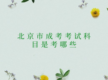 北京市成考考試科目