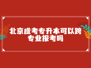 北京成考 北京成考專升本 
