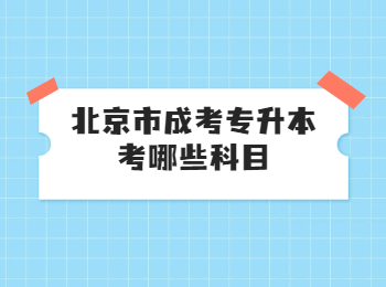 北京市成考專升本