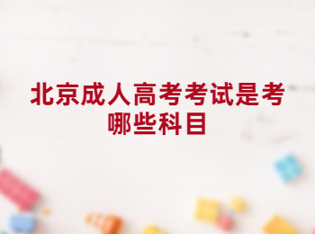 北京成人高考考試科目