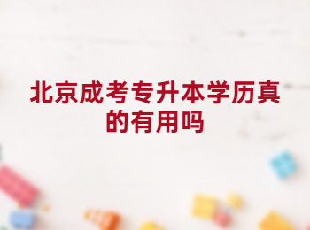 北京成考專升本學歷