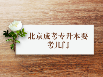 北京成考專升本