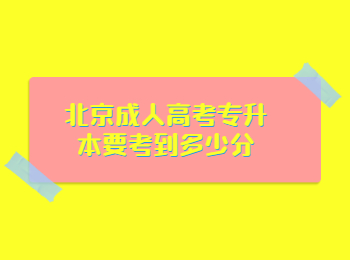 北京成人高考專升本