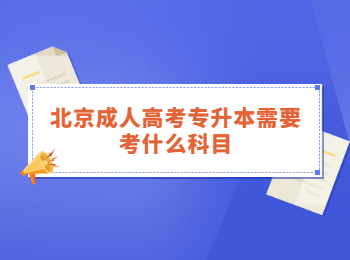 北京成人高考專升本