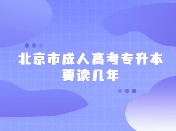 北京市成人高考專升本