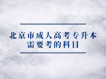北京市成人高考專升本